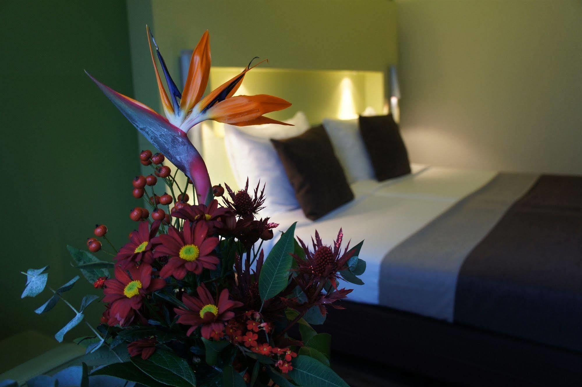 Hotel 50|50 Belmont Ede